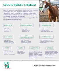 Colic In Horses Checklist I Love Veterinary Vet Medicine Equine Care Equine Vet Tech