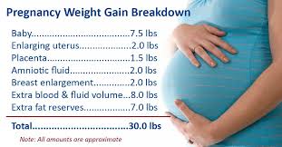 healthy weight gain during pregnancy ask dr sears