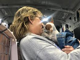 Welcome to the hub of safe haven puppy sanctuary, we are based out of the cookeville / crossville, tn area. New Partnership With Safe Haven Puppy Sanctuary Will Help Save Dogs Than Ever Ndlb