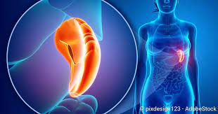 Finden sie perfekte illustrationen zum thema milz von getty images. Milz Splen Lien Aufbau Und Erkrankungen Netdoktor