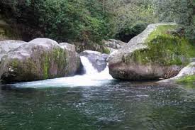 Make big creek campground base camp for your next smoky mountain adventure. Camping In The Parks Big Creek Campground At Great Smoky Mountains National Park National Parks Traveler