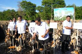 Pemerintah Tekankan Pentingnya Sinergi Wujudkan Ketahanan Pangan