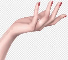 People also love these ideas. Right Person S Palm Hand Woman Icon Woman Hand Hands Arm Girl Png Pngwing