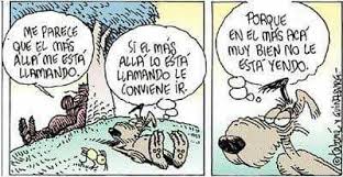 Diogenes y el Linyera/ - Literatura y psicoanalisis | Facebook