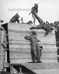 Image result for Inside White 1918 Military