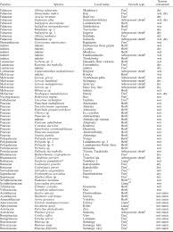 Image result for Acacia rovumae