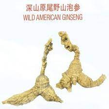 产地美国深山丛林特点产量极少 功效奇特 优点福华所进口的野生花旗参都有世界野生动植物保护协会 cites 的证书 消费者大可放心选购 all wild american ginseng imported by hockhua are certified ginseng wild