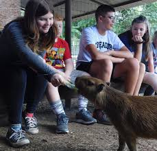 Exotic animals or exotic pets are delicate species needing much care and attention. Pin On Texas