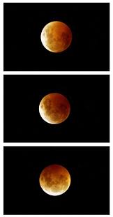 January's blood moon will fulfil apocalyptic biblical prophecies, an american doomsday pastor has announced. Super Blood Moon Astrology Everything To Know About Your Eclipse Horoscope Express Co Uk