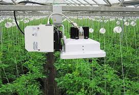 Check spelling or type a new query. 5 Best Plasma Grow Lights Reviewed Mar 2021