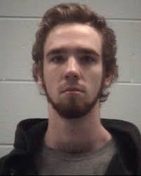 13 sentences by Muskegon County Circuit Judge William C. Marietti