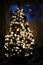 This is an image of christmas lights blurred with extravagant colors colorful golden blurred christmas lights glittering. Xmas Tree Lights Bokeh Blurred Image Lights By Ginette Miron Photo Stock Snapwire