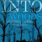 Into the Woods - Relaxed Performance event image