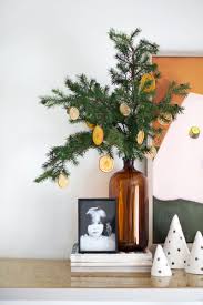 Maybe you would like to learn more about one of these? Try This Dried Citrus Ornaments A Beautiful Mess