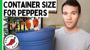 See the specific variety comments for guidance on plant density. Container Size For Pepper Plants Ideal Pot Size Pepper Geek Youtube