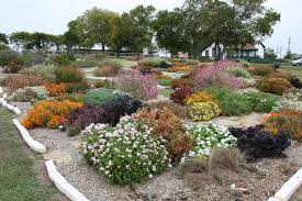 Master Gardeners Picks Are North Texas Hardy