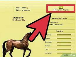 3 Ways To Get Lots Of Money On Howrse Wikihow Fun