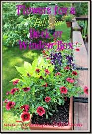 12 plants that are perfect for window boxes. Flowers For A Full Sun Deck Or Window Box Full Sun Flowers Window Box Flowers Porch Flowers