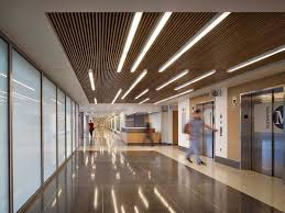Ewing Cole Geisinger Healthcare Hospital Design Hospital Interior Hospital Interior Design