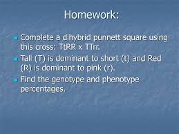 Identify the genotypes of each parent step 4: Gregor Mendel A Monk Who Studied Peas In His Garden And Developed Our Basic Understanding Of Heredity Ppt Download