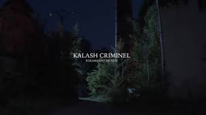 Ma puissance de feu, nombreux sont ceux qui la fuient. Kalash Criminel Ecrasement De Tete Clip Officiel Youtube