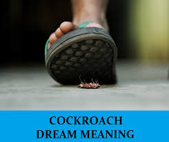 Cockroach in my room can t sleep. Cockroach Dream Meaning Top 12 Dreams About Roaches Dream Meaning Net