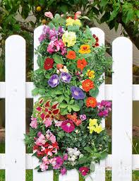 Birth Month Flower Grow Kit Hummingbird Vertical Garden Hummingbird Garden Hummingbird Flowers Day Lilies