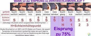 Zervixschleim Bitte Noch Ein Baby Forum