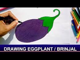 How To Draw Eggplant Brinjal With Easy Steps Youtube