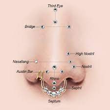 Welche nasenpiercing arten es genau gibt, kannst du hier sehen: Piercing Arten Nasenpiercing Wie Septum Nasenstecker