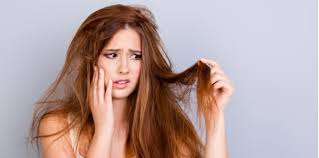 Kata rambutan berasal dari bentuk buahnya yang mempunyai kulit menyerupai rambut. Rambut Berbuah Bila Pakai Tudung Ini Antara Sebabnya