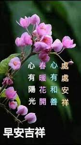 pin by 美珍蘇on 語錄 morning greetings quotes morning greeting good morning greetings