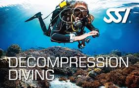 Ssi (server side includes) are directives that are placed in html pages, and evaluated on ssi is a great way to add small pieces of information, such as the current time. New Ssi Program Decompression Diving Dive Ssi