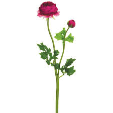 Pin On Afloral Flower Mobile Supplies