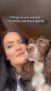 Brittany Spaniel Owners Club