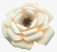 Check spelling or type a new query. Gold Flower Png Images Free Transparent Gold Flower Download Kindpng