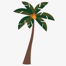 Harga buah bole mencecah rm10 sekilo6. Gambar Bayangan Pokok Kelapa Yang Cantik Kelapa Grafik Clipart Pokok Pokok Kelapa Yang Cantik Png Dan Vektor Untuk Muat Turun Percuma Ilustrasi Pohon Bayangan Kelapa