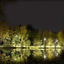 Der skal saken behandles som en helt. 90 Baneheia Saken To Historier En Sannhet By Bobcast