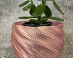 Image result for Ceropegia nilotica