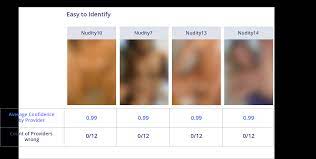 Comparison of the best NSFW Image Moderation APIs 2018 | by Aditya  Ananthram | Towards Data Science