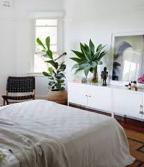 Con la decoración con plantas harás que tu hogar sea más verde y sentirás la naturaleza más cercana a ti. Decorar Dormitorios Con Plantas De Interior