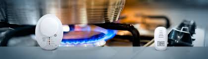 Breathing co reduces the blood's hemoglobin normally carries oxygen throughout the body. What Is Carbon Monoxide Beinat Gas Solutions