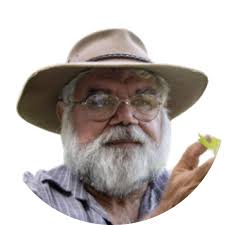 Bush Tucker and Vitamin D