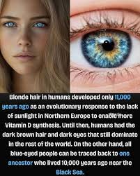 According to study Caucasian had low lifespan expectation, higher chances  of macular degeneration, sensitive of light and has more variety of eye  color and hair color besides brown eye or black hair. |