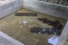 Cara Budidaya Ikan Lele Kolam Terpal Dan Beton Agar Cepat Panen Aman Untuk Jangka Panjang Ikan Kolam Tahu