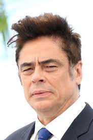 Benicio del Toro Biography