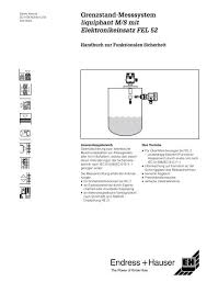 Level switch endress hauser level switch condutive type level switch level probe tank level switch. Liquiphant M S Fel 52 Endress Hauser Przep