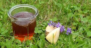 Apfel Lavendel Gelee Gelee Lavendel Apfel