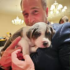 Tom and Megan had an unforgettable night at the Stray Rescue Gala,  celebrating the incredible work being done to save and care for animals.  Proud to support such an impactful cause right