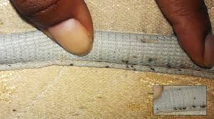 Image result for bedbugs on mattress